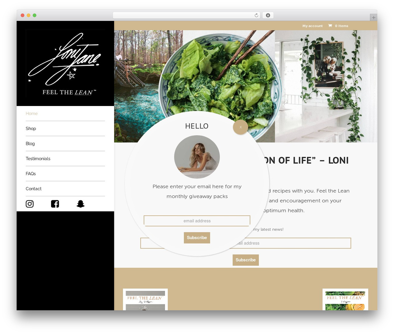 WordPress theme Divi - feelthelean.com WordPress theme Divi - feelthelean.com