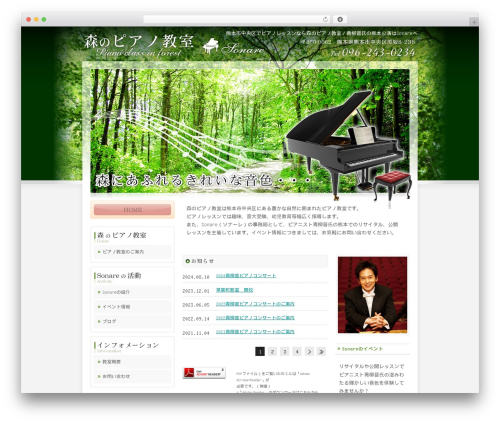 WP theme Themify Basic - sonare-piano.com
