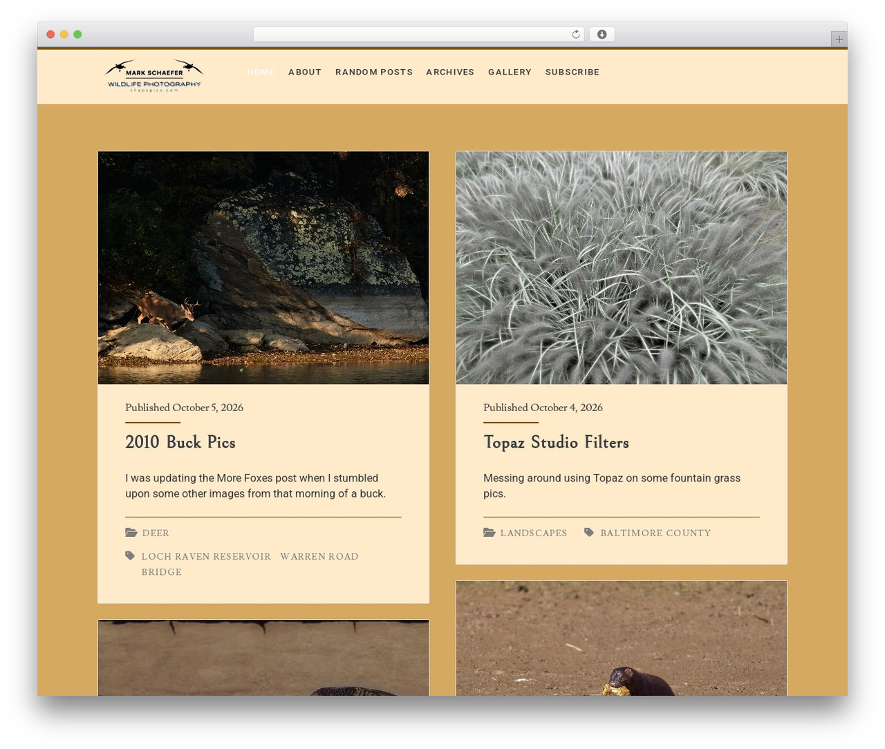Ignite Plus theme WordPress - chapspics.com Ignite Plus theme WordPress - chapspics.com