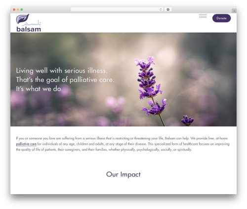 Logi WordPress theme - balsam-lb.org Logi WordPress theme - balsam-lb.org