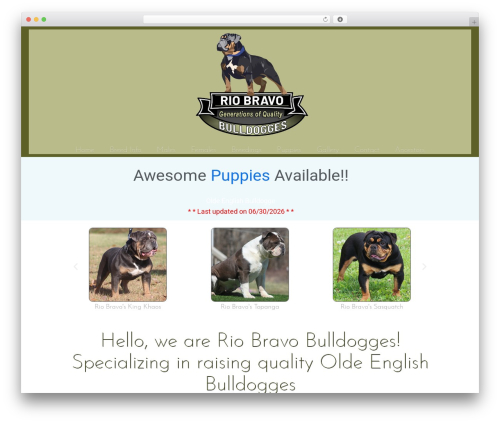 Theme WordPress Layers for Elementor - riobravobulldogs.com