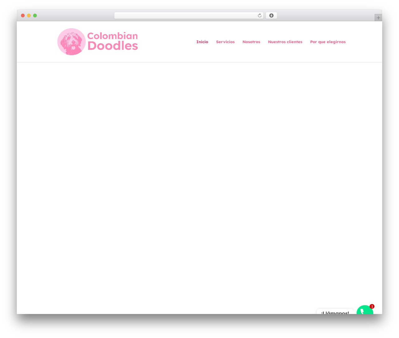 WordPress theme Divi - colombiandoodles.com