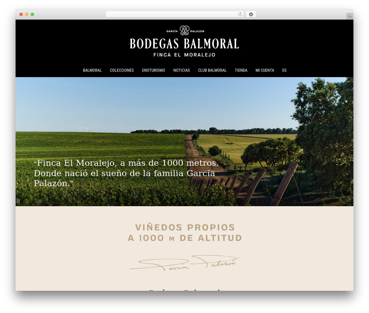 WordPress theme Jupiter - vinedosbalmoral.com