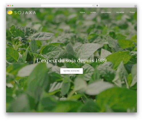 Neuron core WordPress plugin - sojaxa.com