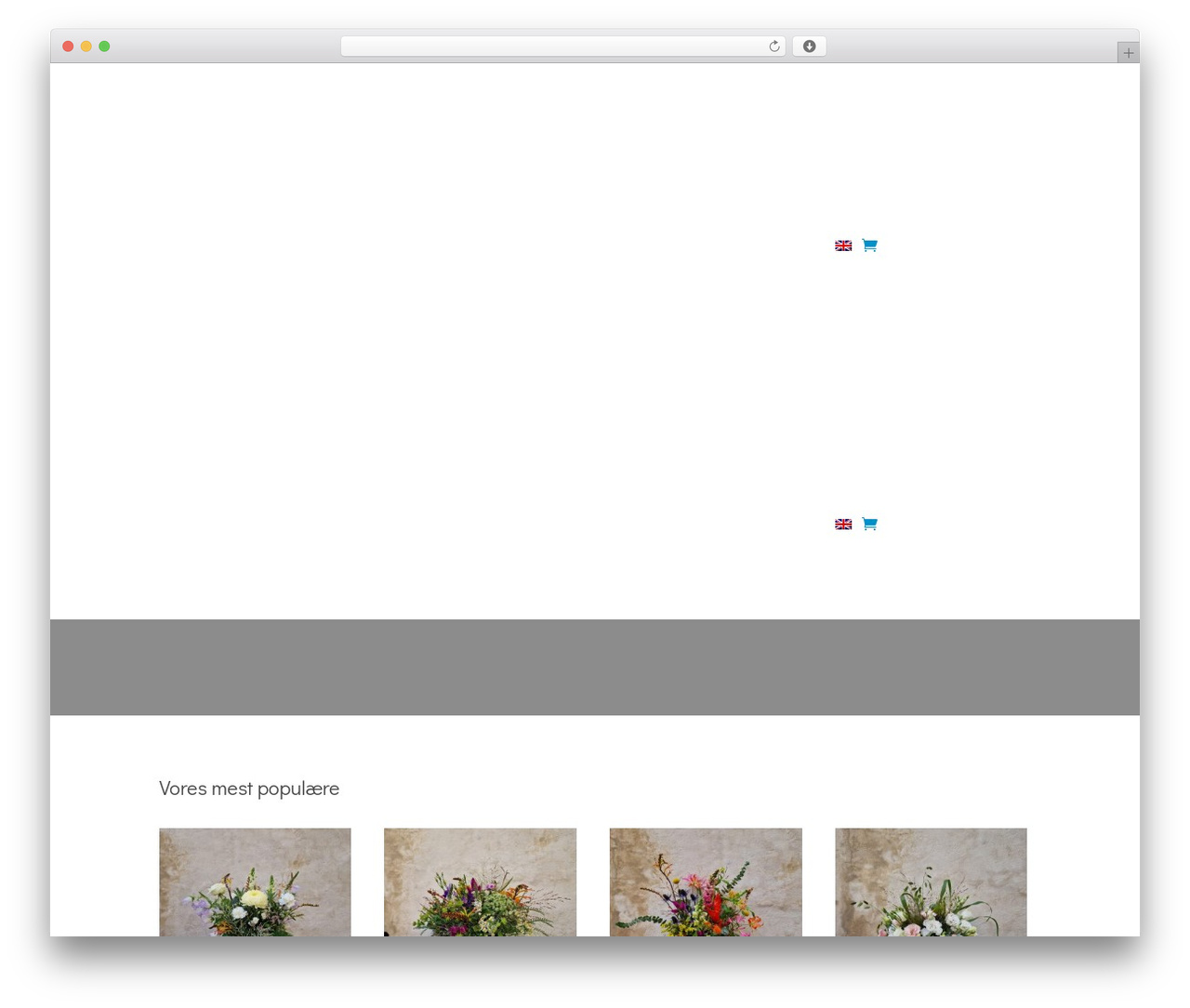 WordPress website theme Divi - hagenuhre.com