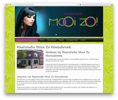 Slidedeck2 personal WordPress plugin - haarstudiomooizo.nl