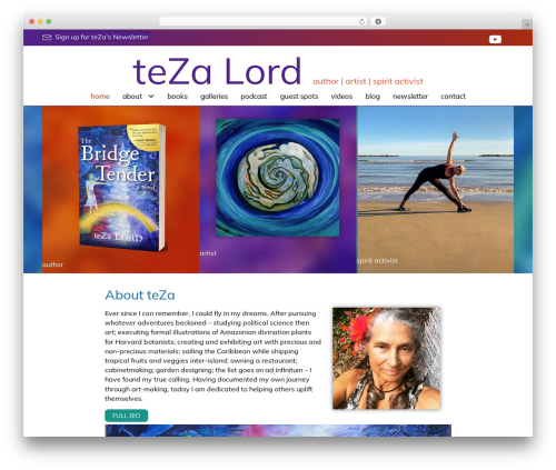 Novelist (novelist) free WordPress plugin - tezalord.com