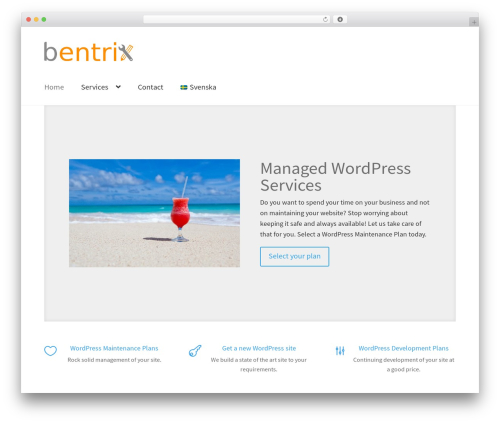 Theme customisations WordPress plugin - bentrix.com
