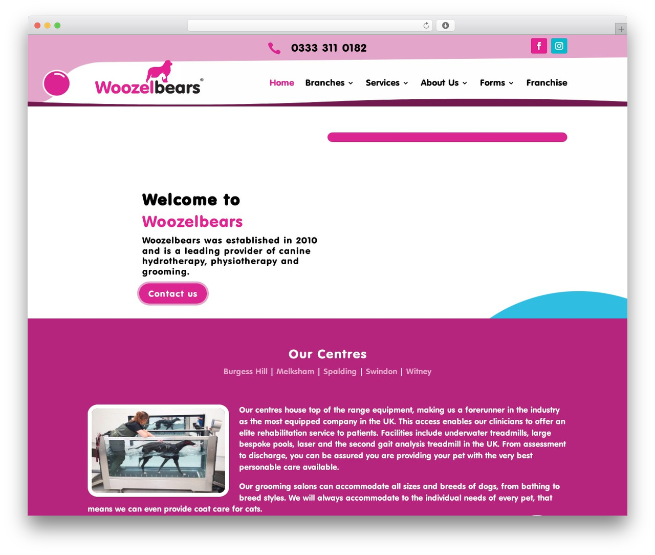 Divi WordPress theme - woozelbears.com Divi WordPress theme - woozelbears.com