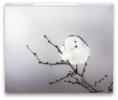 monoidea WordPress theme - koko-ko-ji.com