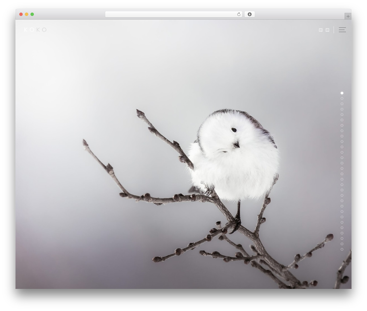 monoidea WordPress theme - koko-ko-ji.com
