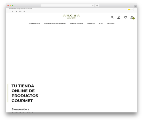 Samex theme WordPress - anchacastilla.com
