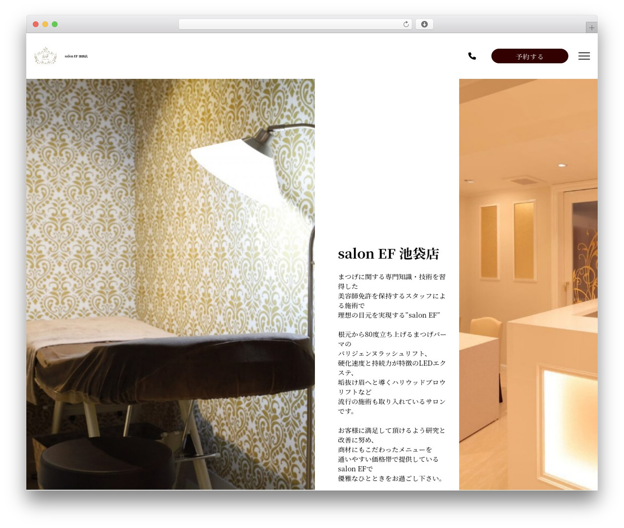 WordPress theme note - salon-ef-ikebukuro.com