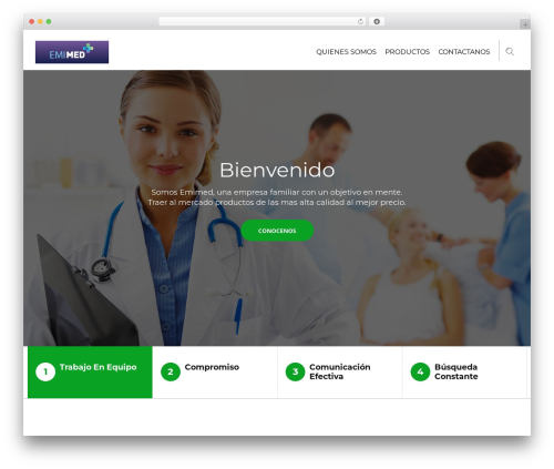 WordPress theme Advisor - emimed.cl
