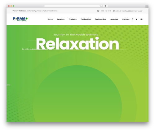 Bwd image hotspot WordPress plugin - paramwellness.com