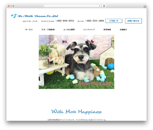 Best WordPress theme Themify Basic - rebirth-dream-coltd.com