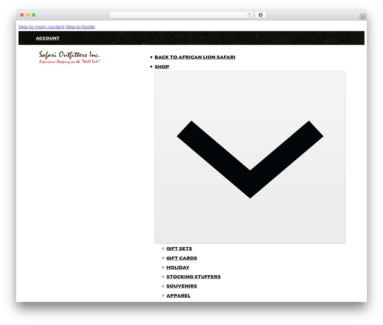 Bricks Child Theme top WordPress theme - safari-outfitters.ca