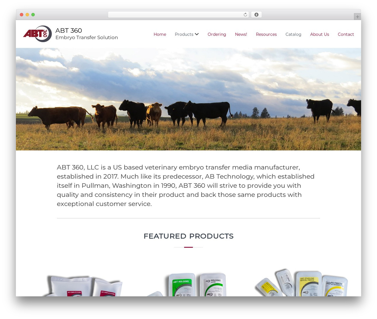 Flash WordPress theme design - abt360llc.com