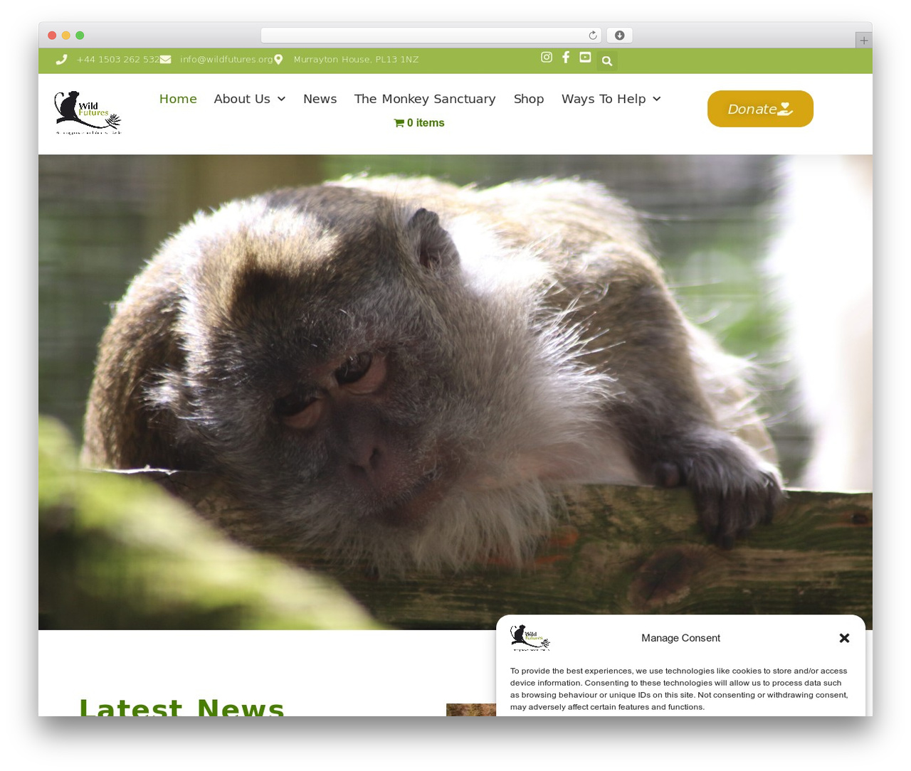 Hello Elementor WordPress theme - wildfutures.org Hello Elementor WordPress theme - wildfutures.org
