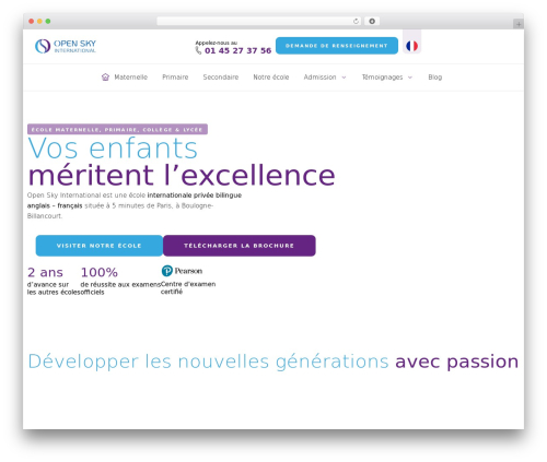 Telephone field for elementor forms WordPress plugin - open-sky-intl.com