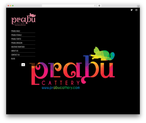Smartscreen contact form WordPress plugin - prabucattery.com