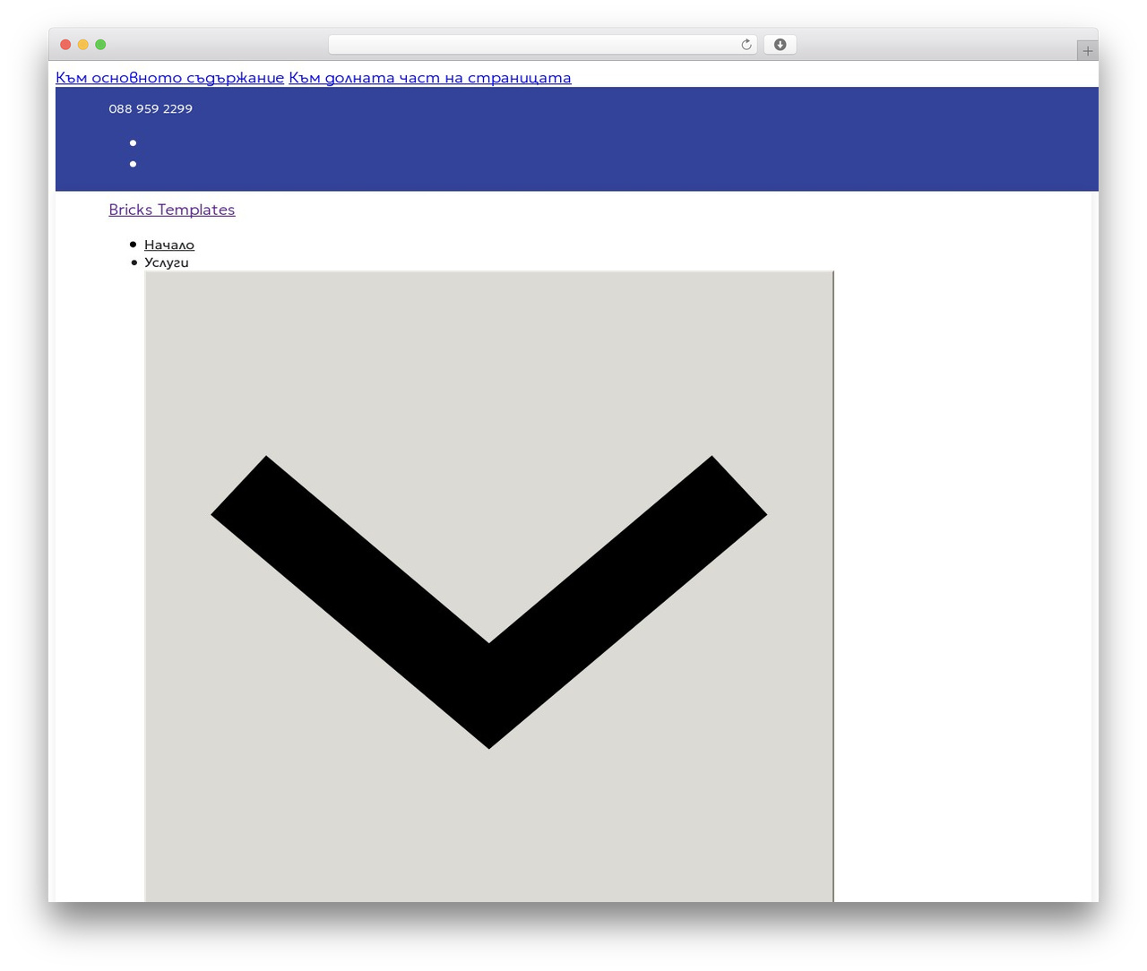 Theme WordPress Bricks - medinavet.net