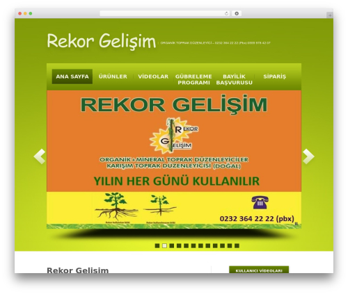 Theme WordPress theme1777 - rekorgelisim.com