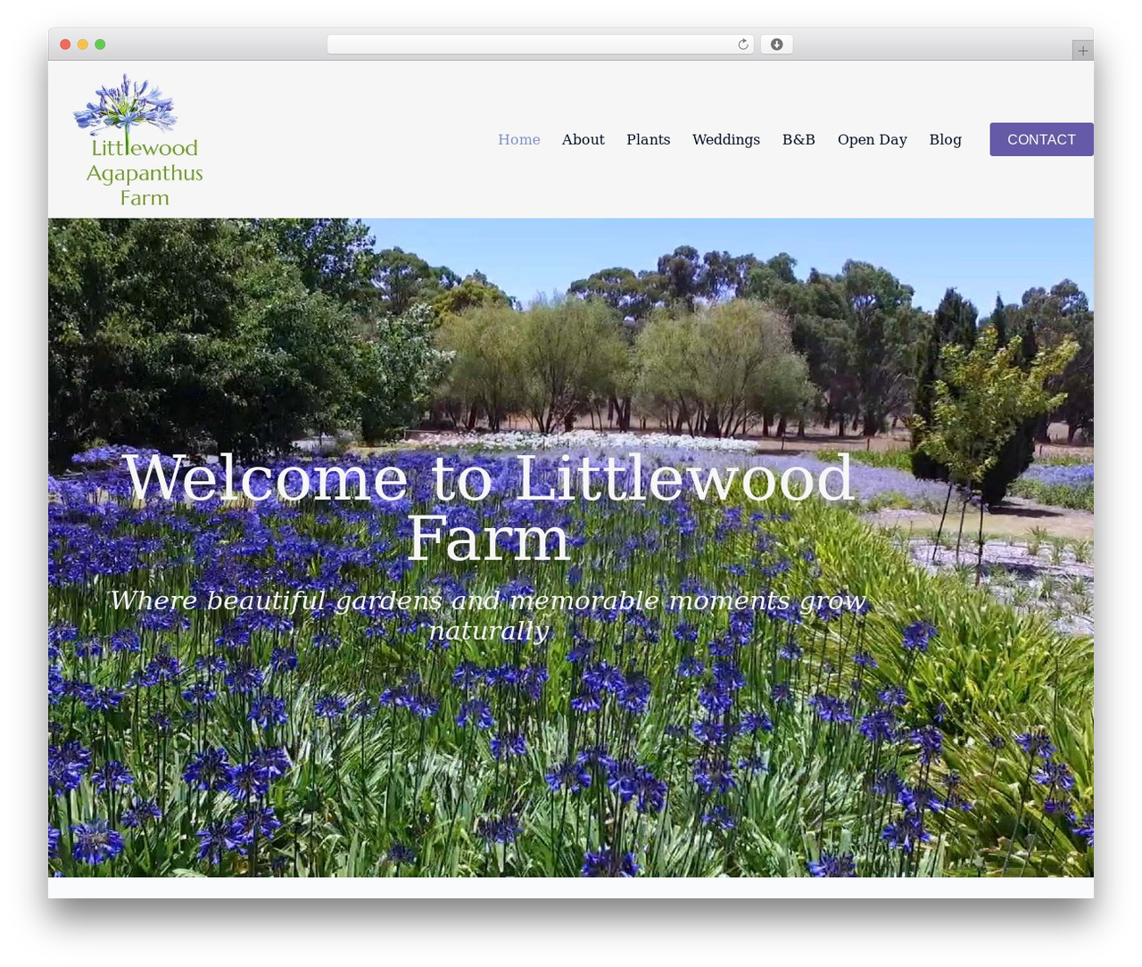 Best WordPress theme Base Theme - littlewoodfarm.com