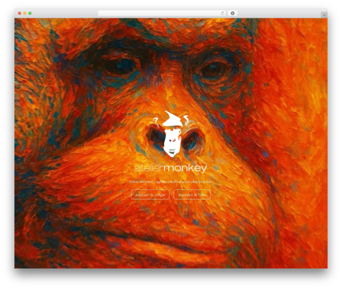 Everest gallery WordPress plugin - ateliermonkey.ch