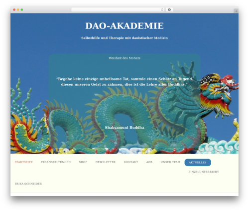 NS Category Widget (ns-category-widget) free WordPress plugin - dao-akademie.com