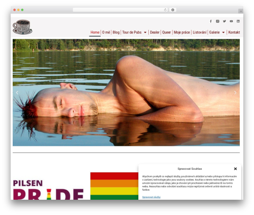 Cookiez WordPress plugin - hodnejblbec.cz