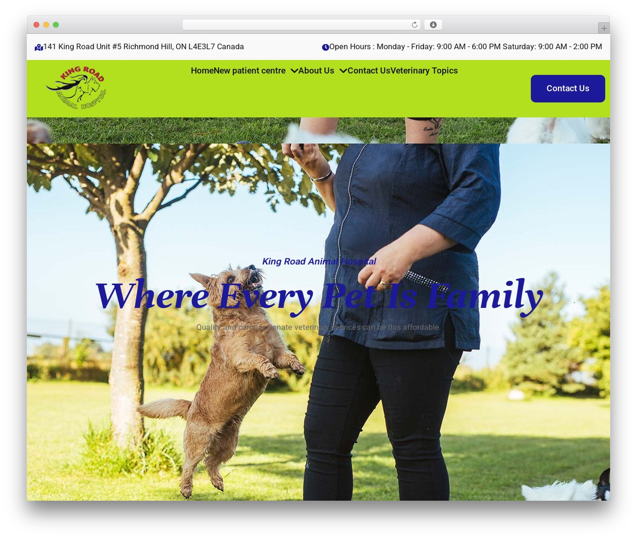 Hello Elementor WordPress website theme - kingrdvet.com