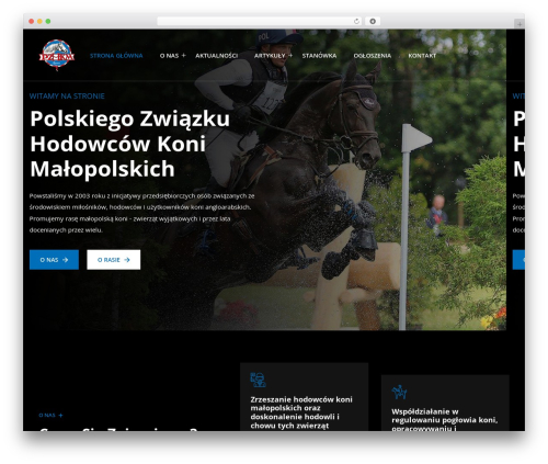 Jasy WordPress theme - pzhkm.pl