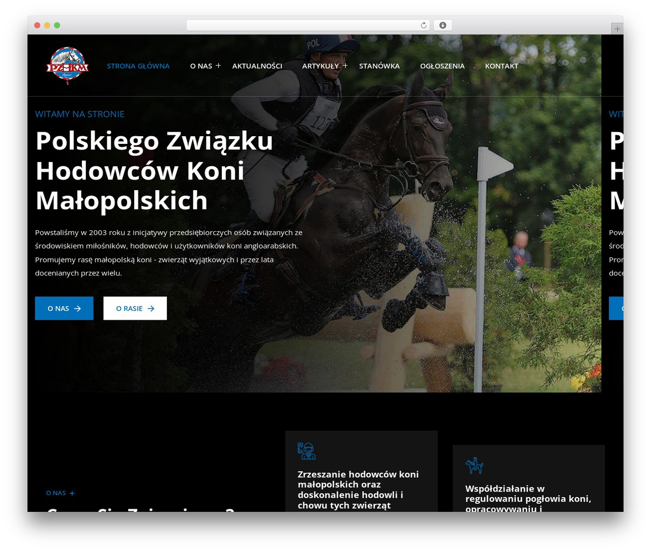 Jasy WordPress theme - pzhkm.pl Jasy WordPress theme - pzhkm.pl