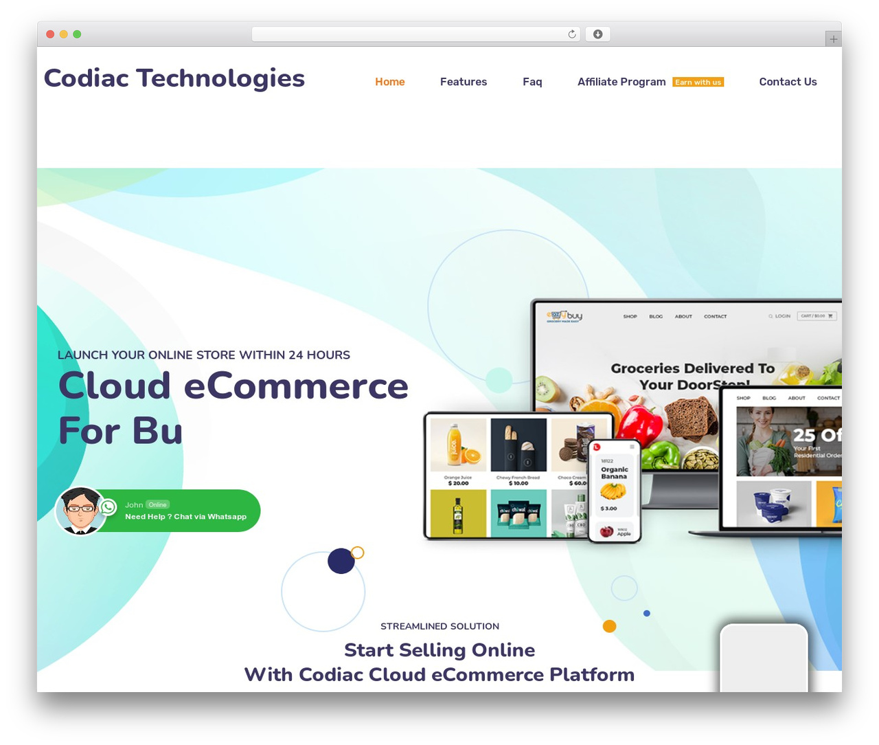 Libromi WordPress ecommerce theme - codiac.in