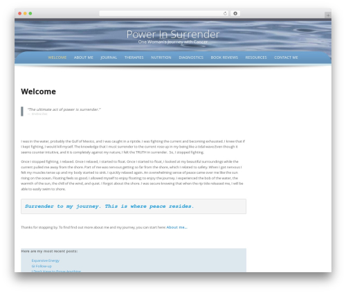 Preferential WordPress theme - powerinsurrender.com
