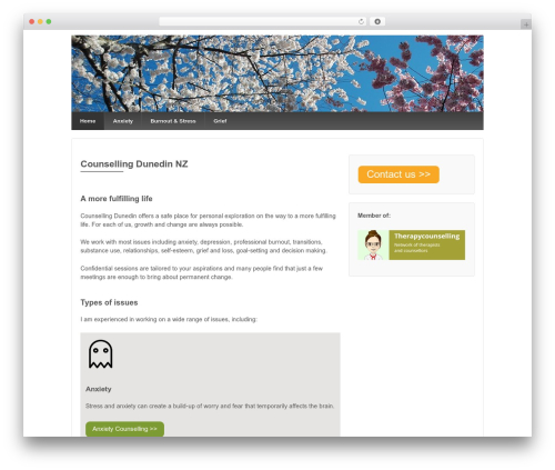 Responsive Pro best WordPress theme - counselling-dunedin.com