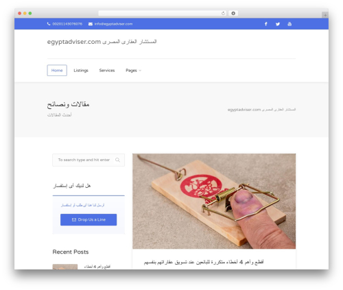 Web font social icons WordPress plugin - egyptadviser.com