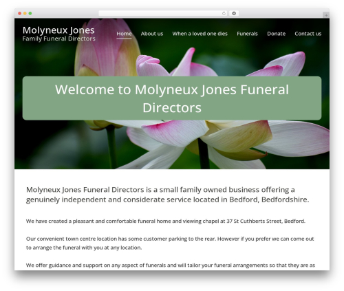 Typograph theme WordPress - molyneuxjones.co.uk