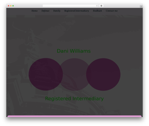 WordPress theme daniwp - danirw.com
