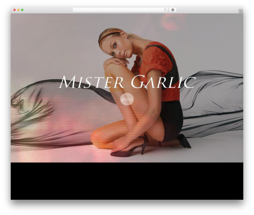 WordPress theme Divi - mistergarlic.com