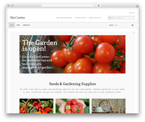 Theme customisations WordPress plugin - dirtletter.com