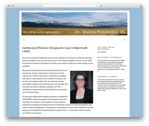 Hdtheme WordPress theme - inlinechiromammoth.com