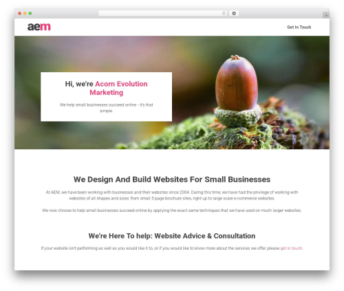 Theme WordPress aem - acornevolutionmarketing.com