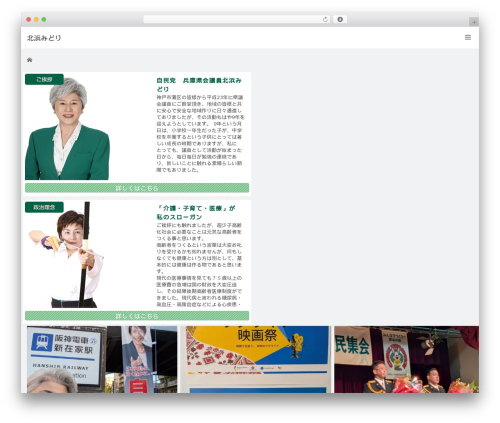 VIEW WordPress theme design - midori-kitahama.net