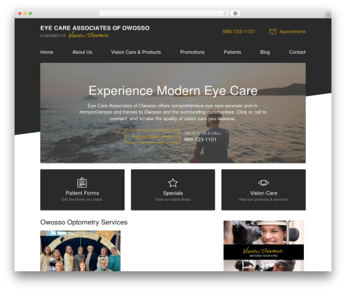 WordPress theme VS Theme #3 - visionsource-ecao.com