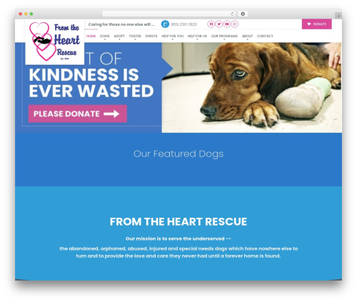 Buzz To The Rescues WordPress theme - fthar.org
