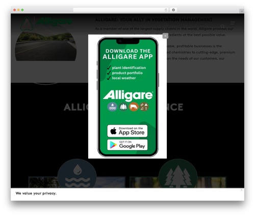 Simple Image Popup (simple-image-popup) free WordPress plugin - alligare.com