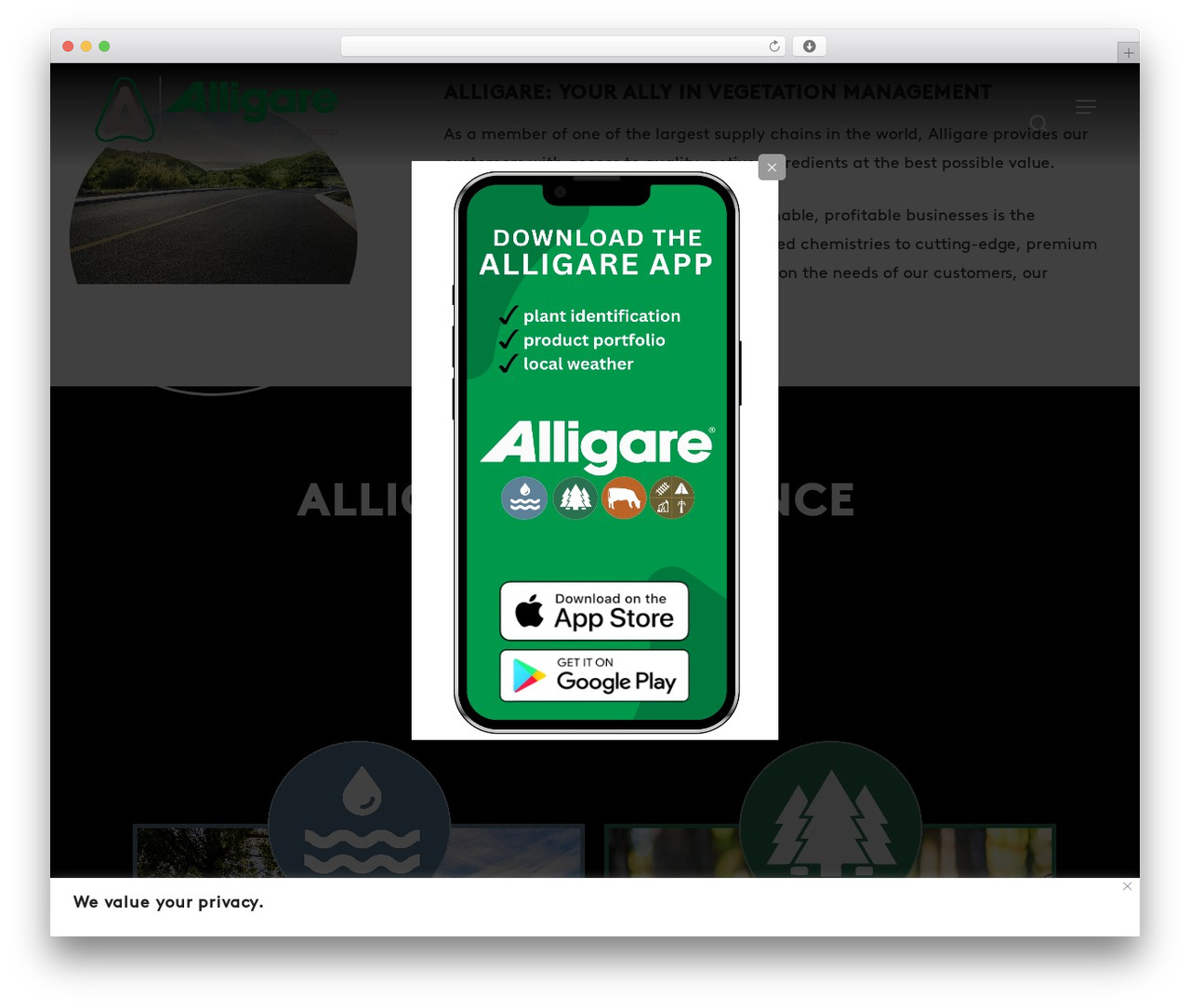 Salient Child Theme theme WordPress - alligare.com