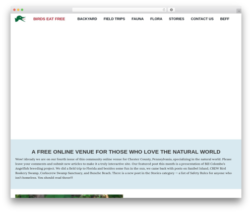 WordPress theme Your Web Layout - birdseatfree.com